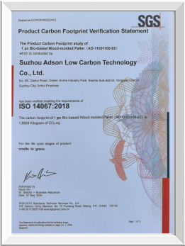 Certificate-8